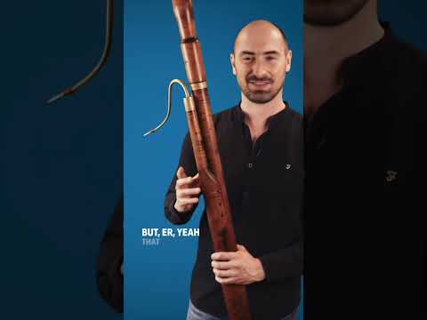 Why Bach called someone a ‘nanny goat bassoonist’