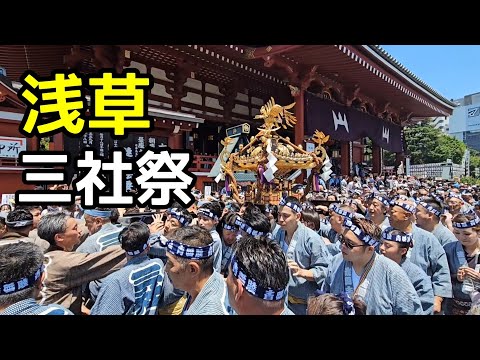 浅草　三社祭　Sanja Festival Asakusa Tokyo 　