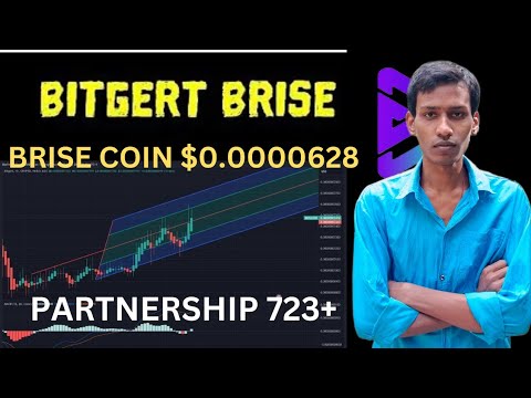 BRISE Coin $0.0000628 | Bitgert Supply Burn | BRISE Coin Partnership 723 | Binance Listing