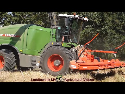 Fendt - Krone / Maissilage - Silaging Maize  2024