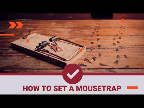 How To Set a Mouse Trap and Where to Put Mouse Traps - 3 Easy Ways | The Guardians Choice