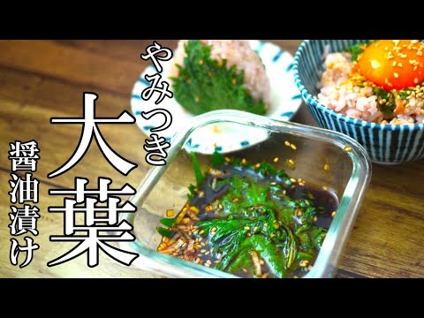 『大葉の醤油漬け！』☆いくら作ってもあっという間に無くなる！無限大葉！☆