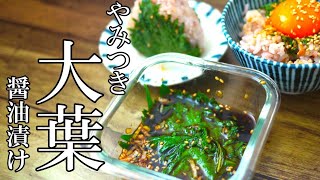 『大葉の醤油漬け！』☆いくら作ってもあっという間に無くなる！無限大葉！☆