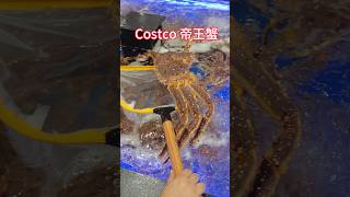 Costco 帝王蟹 #2024shorts #costco #帝王蟹 #海鮮 #costcoshopping #深圳好去處 #手機拍攝