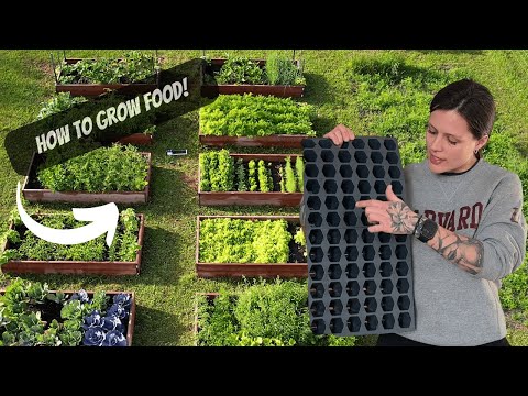 How To Grow Food | Starting Seeds Indoors