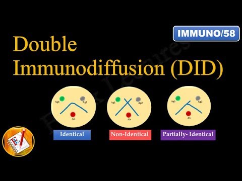 Double immunodiffusion (Ouchterlony Double Diffusion) (FL-Immuno/58)