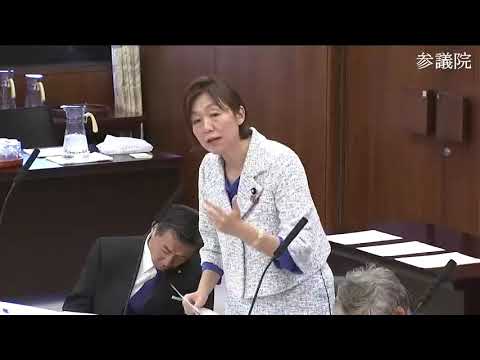 水野素子　2023年11月14日　参議院・外防委員会