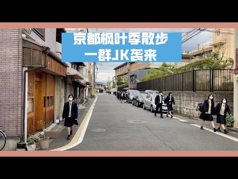 【日本散步】日本高中生放学啦！路过日本高中，清一色的校服，我承认我喜欢！也看到了很多日本小学生