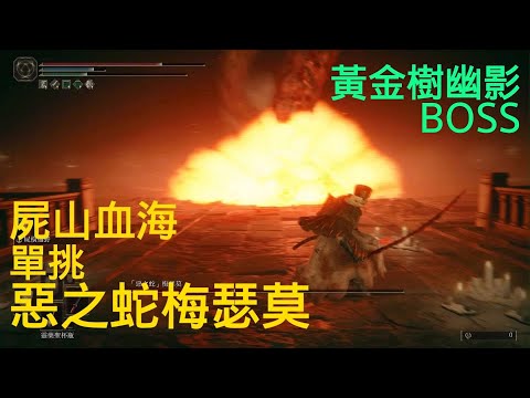 屍山血海單挑梅瑟莫-黃金樹幽影BOSS戰(艾爾登法環DLC)Messmer the Impaler SOLO FIGHT ELDEN RING DLC BOSS FIGHT