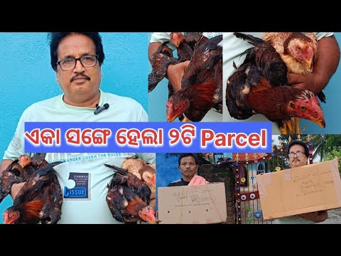 ଏକା ସଙ୍ଗେ ହେଲା ୨ଟି Parcel📦@basanta_sir_kitchengarden#youtube#chicken