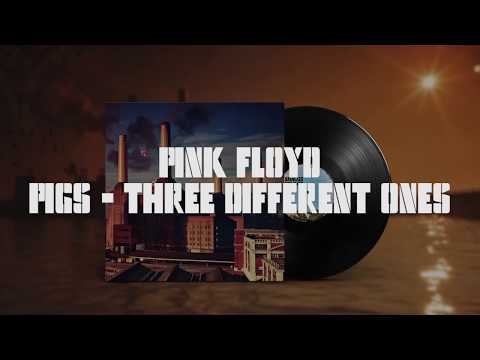 Pink Floyd - Pigs (Three Different Ones) [Remastered]