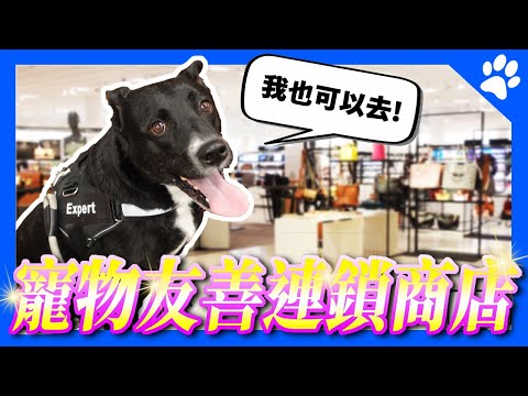 Biggest Dog-Friendly Stores in the United States! | DanielPaTV