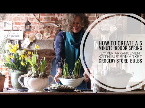 How to create a 5 minute indoor spring flower arrangement with supermarket grocery store  bulbs