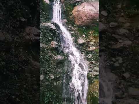 largest water fall of palampur #himachal