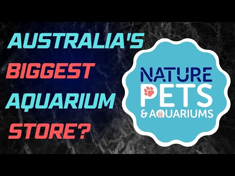 LFS Tour - Nature Pets & Aquariums