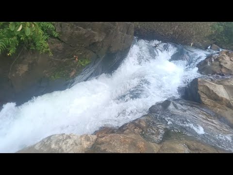 navagadde falls kanchinabagilu hubballi road ankola #nature #rainyseason #falls #enjoyment #peace