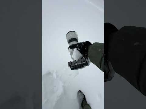 I find a Sony Fx3 Buried in Snow!  #filmmaking