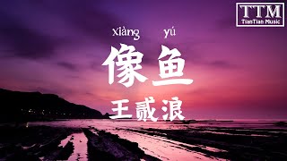 【拼音 pinyin】王贰浪 - 像鱼「 我要记住你的样子 像鱼记住水的拥抱 」Lyrics 歌词