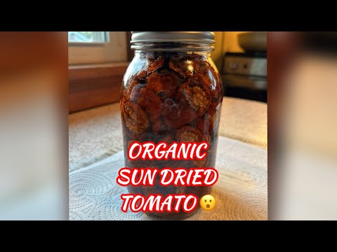 How to make  Sun Dried Tomato | Sun dried tomato Recipe | Homemade Sun Dried tomato | Jin Moore