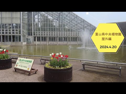 2024.4.20　富山県中央植物園　屋外編