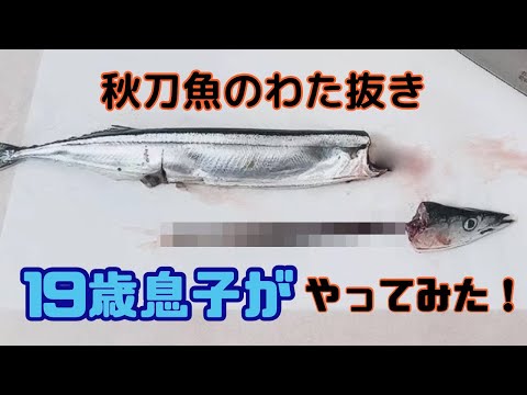 【秋刀魚のわた抜き】19歳の息子がやってみた！！ちゃんとできたかな〜！？