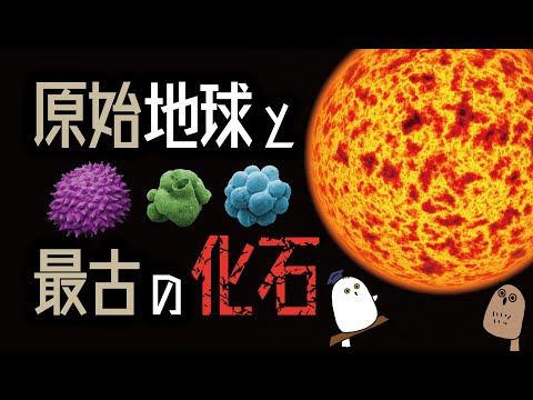 【ゆっくり解説】原始地球と最古の化石【科学 / 古生物 / 生命の歴史①】