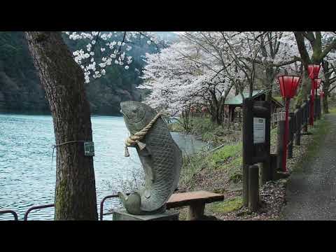 庄川水公園　2019 4 9