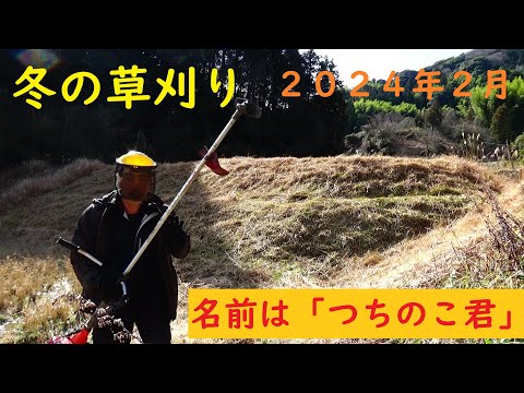 暖冬の草刈りのススメ！２０２４　NO,1120