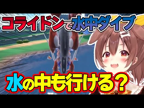 ウキウキでコライドンに乗ったまま、水中へダイブさせるころね【ホロライブ/戌神ころね/切り抜き】