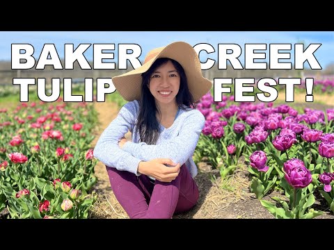 Bake Creek Tulip Festival Tour and Exclusive Warehouse tour