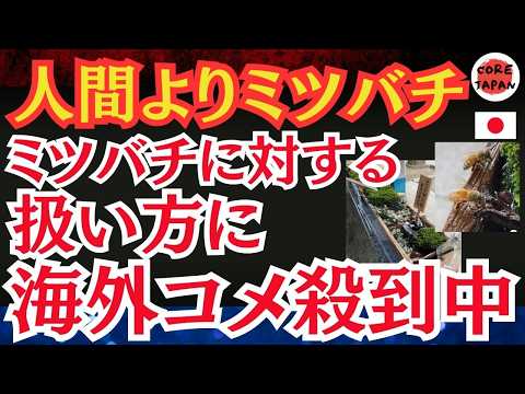 【話題】一言主神社のミツバチ専用水飲み場が海外で大絶賛！自然共生の美しい取り組みに海外でも「日本らしい」と話題に！