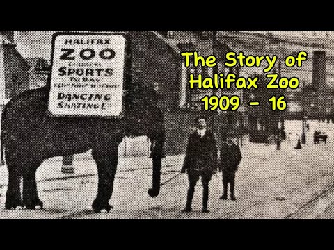 When Animals Roamed The Streets. The Story of Halifax Zoo. 1909 - 1916. Siddal.