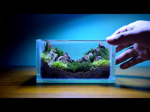 ☘️😱 Creating a Serene Mini Mountain Aquascape ⛰️