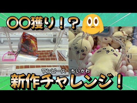 【クレーンゲーム】新作を〇〇獲り！？（ワンピース、ちいかわ）