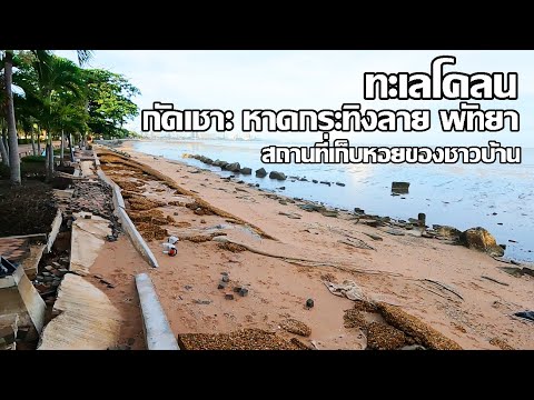 ทะเลโคลนกัดเชาะพัทยา | สวนสาธารณะริมทะเลที่สวยงาม | ที่เก็บหอย หาดกระทิงลาย