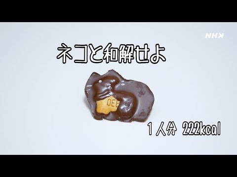 深夜のNHKきょうの料理『ネコと和解せよ』