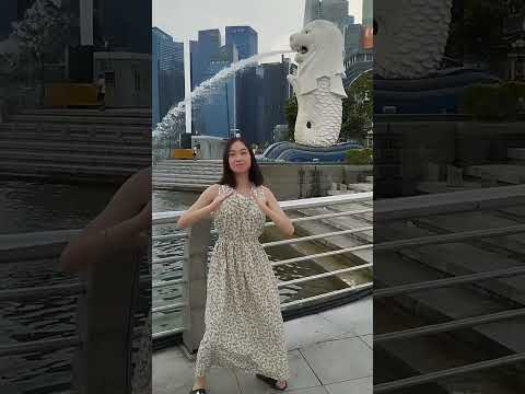 Poisonous mushroom dance in Singapore 독버섯춤 🍄🇸🇬 Tiktok Trend