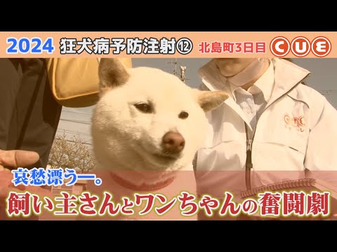 2024狂犬病予防注射　北島町でひっそり行われたワンコたちの戦い⑫