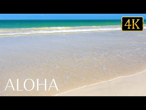 Soothing Beach Ambience: Melt Away Your Stress with Relaxing Ocean Sounds (4K UHD)