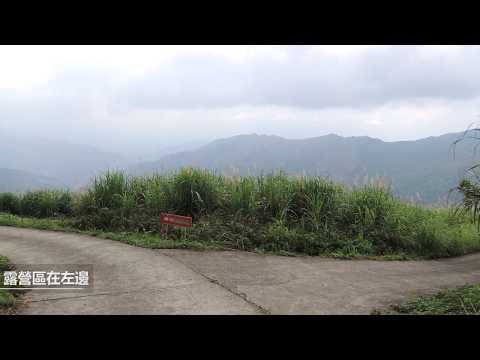 【桃園露營祕境 像溪頭杉林步道】介紹東眼山一處像溪頭的杉林步道與露營祕境｜李希去走走