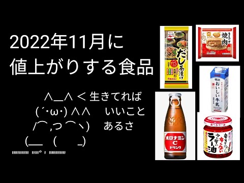 11月に値上がりする食品をまとめてみた｜インフレ食糧危機は目前【バブニュース】