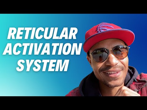 This Is How I Programmed My Reticular Activation System For Wealth & Abundance