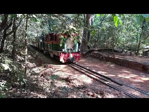 matheran hill station #youtubeshorts #subscribe #matheranhillstation #surajsinghmp