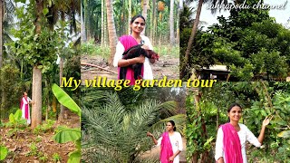 Village garden tour|நம்ம வீட்டு தோட்டத்தில் இருக்கும் மரங்கள் |Trees in our farm|Villagelifestyle