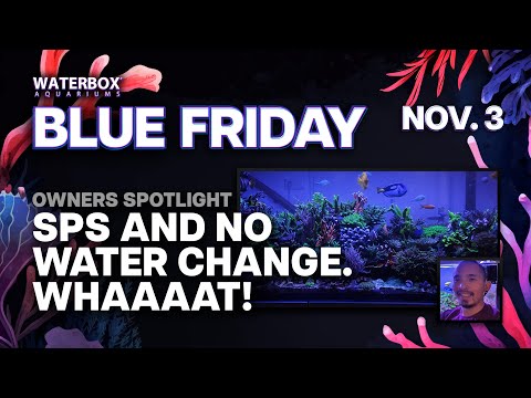 Owner Spotlight - SPS And No Water Change. Whaaat!