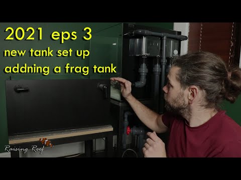 2021 ep3 connecting a frag tank