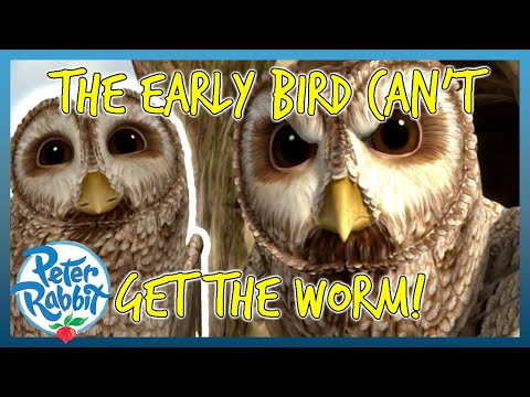 @OfficialPeterRabbit - 🦉🪱 The Early Bird Can't Get the Worm 🪱🦉 | Cartoons for Kids