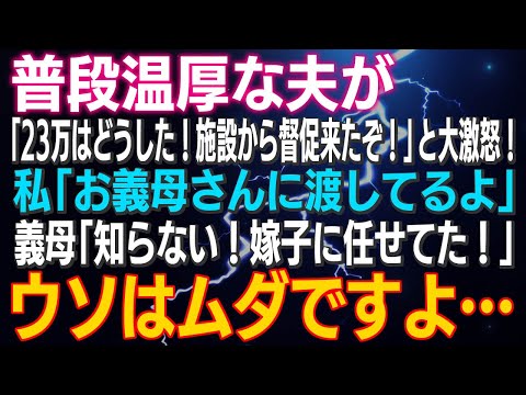 【スカッとする話】普段温厚な夫が「仕送りの23万はどうした！施設から督促が来たぞ！」と大激怒！私「お義母さんに渡してるよ」義母「知らない！嫁子に任せてた！」ウソはムダですよ…