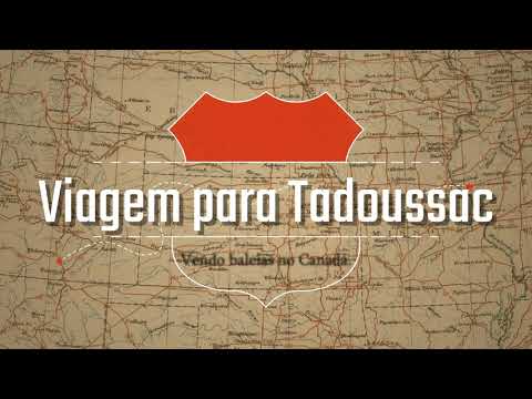 O que fazer em Tadoussac? - Conhecendo as baleias no Canadá!