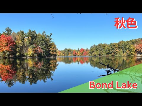 Bond Lake 到了最美的時候 【Vlog 20241019】 #秋色 #加拿大生活